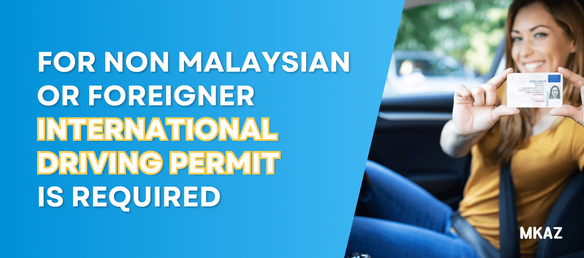 International driving permit