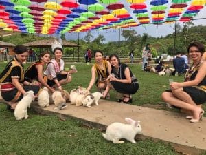 Rabbit-Farm-Ranau-Sabah - MKAZ Car Rental Rabbit Farm Ranau Sabah